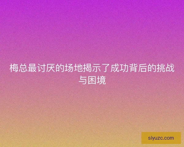 梅总最讨厌的场地揭示了成功背后的挑战与困境