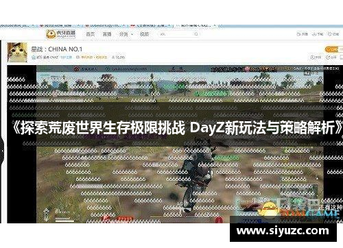 《探索荒废世界生存极限挑战 DayZ新玩法与策略解析》