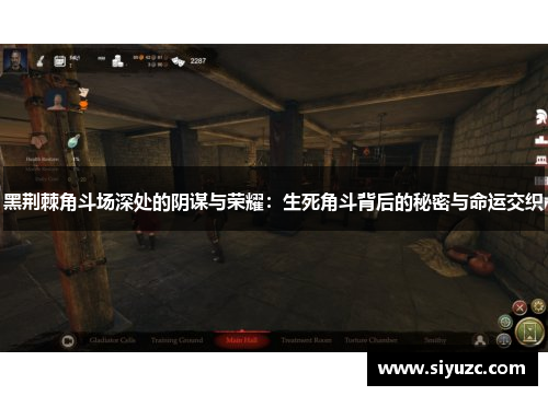 黑荆棘角斗场深处的阴谋与荣耀：生死角斗背后的秘密与命运交织