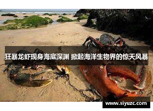 狂暴龙虾现身海底深渊 掀起海洋生物界的惊天风暴