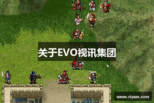 关于EVO视讯集团